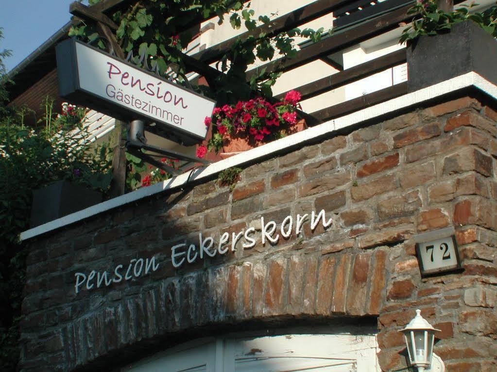 Haus Uebernachtenswert Cochem Mosel Exteriör bild